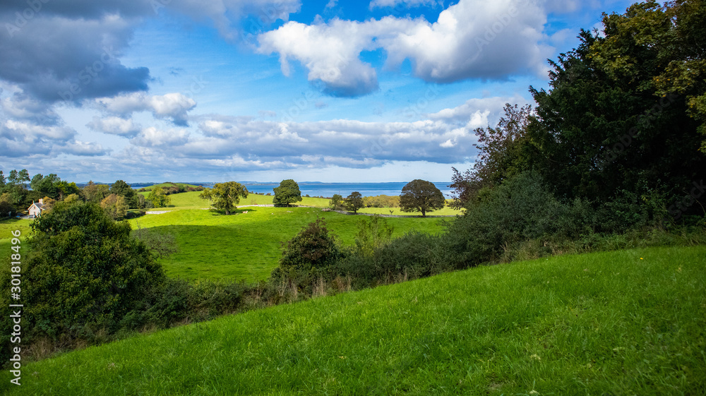 landscape with green field and blue sky