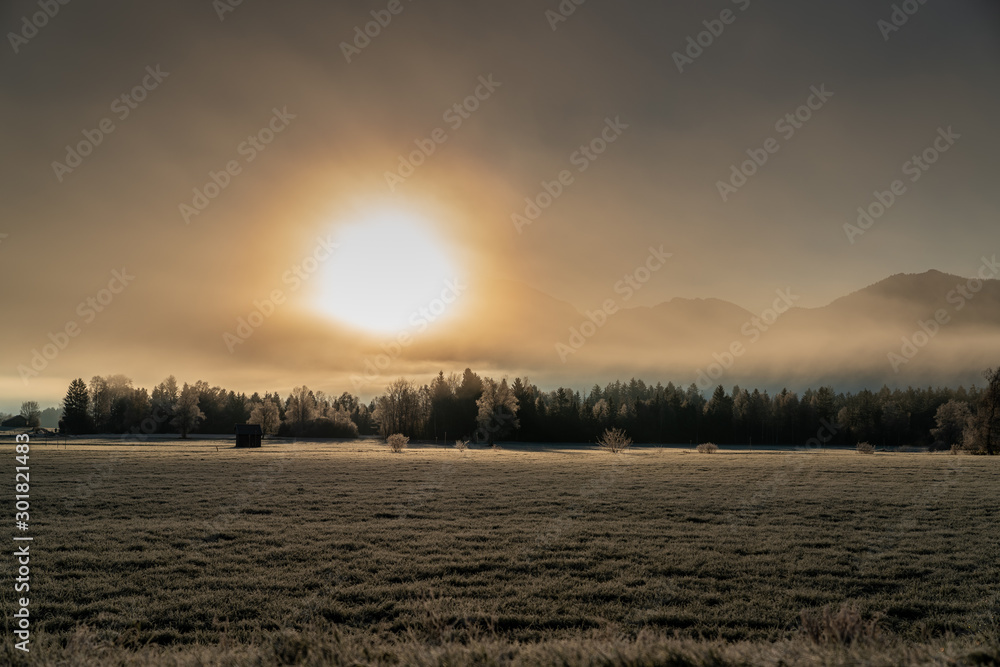 Wintermorgen Wintermorgen