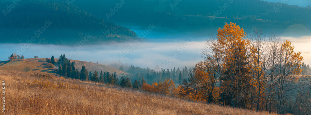 Beautiful panorama of autumn, spruce trees covered, mountain hills with fog in valley and wide rural pastures.