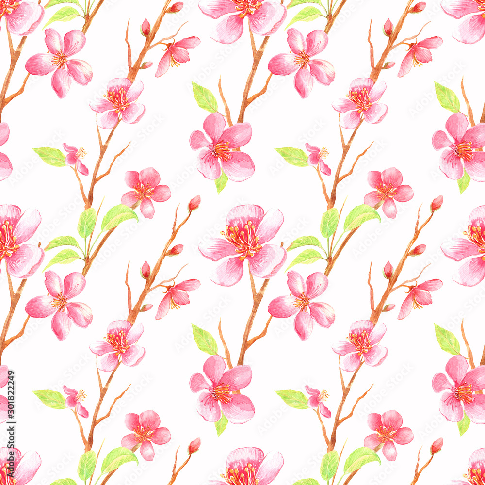 Beautiful seamless pattern with cherry blossom and leaves  on a white background. Hand painted in  watercolor.