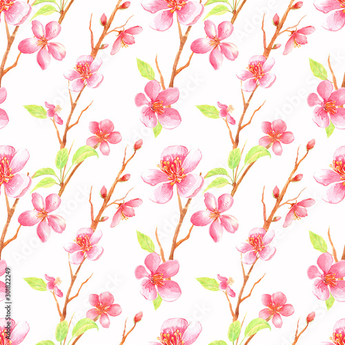 Beautiful seamless pattern with cherry blossom and leaves on a white background. Hand painted in watercolor.