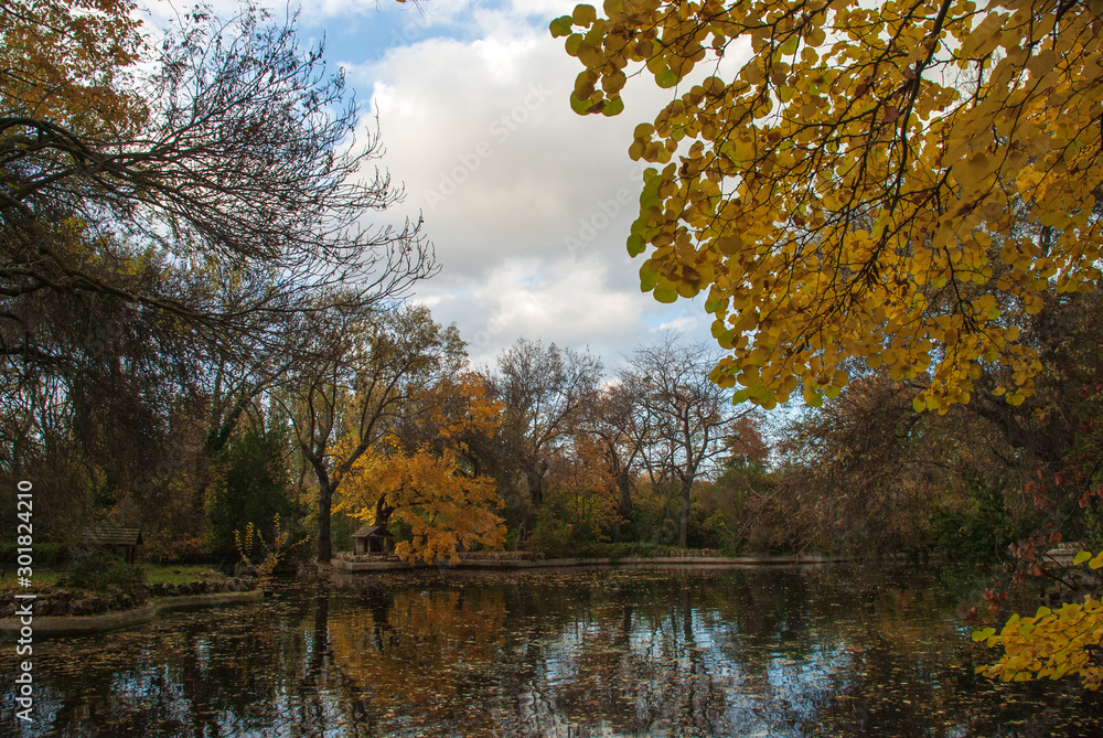 Fototapeta premium Autumn landscape of pond with trees with yellow leaves in the El Capricho park in Madrid, Spain, Europe