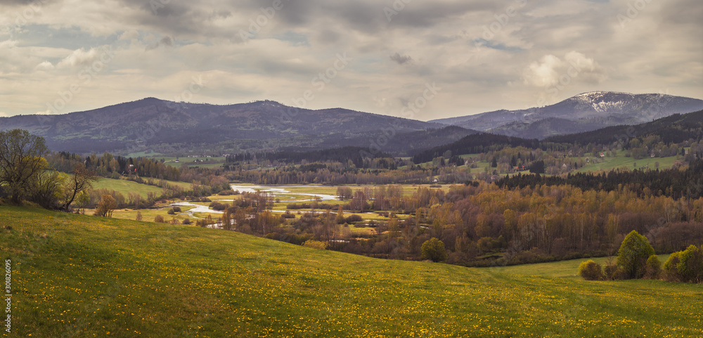 landscape with mountains (Plechy mountain on the right side) and meandering Vltava river in valley, blooming meadow in foreground, Bohemian forest national park, Czech republic