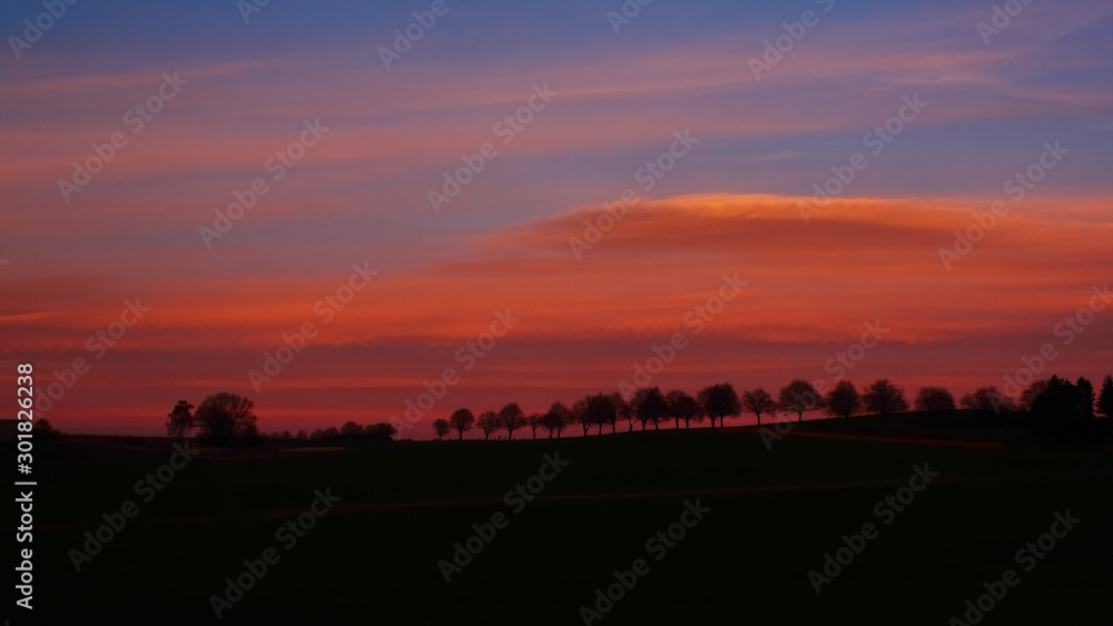 red sky above the landscape - red-colored clouds in the evening sky, on the horizon silhouettes of tree alley