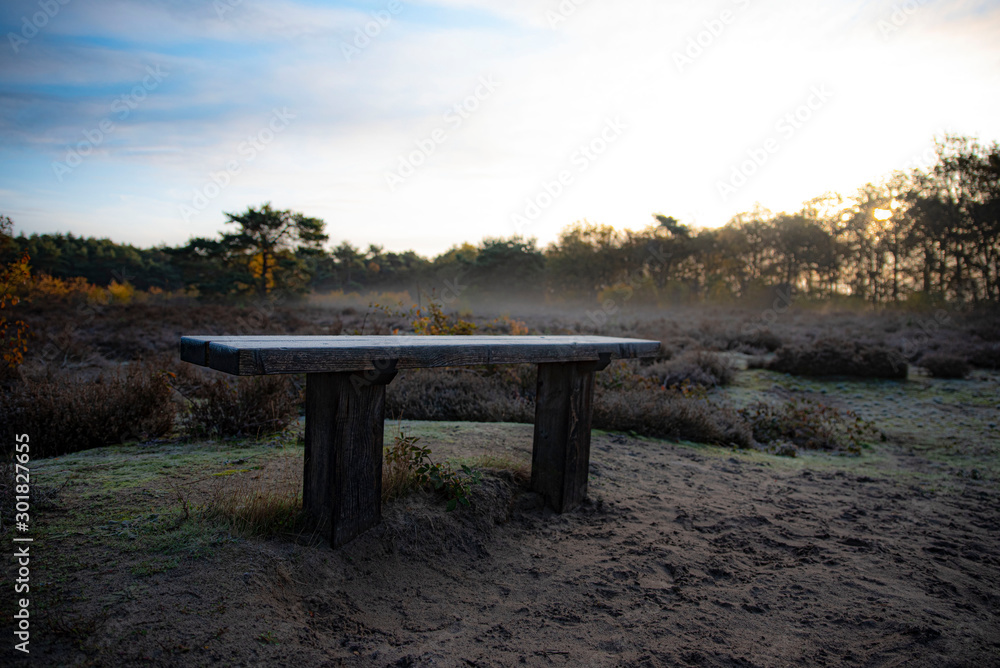 bench in the park