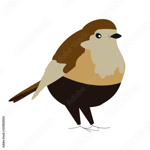 interesting vector round brown bird in clothes in pants to illustrate children's books or business logos