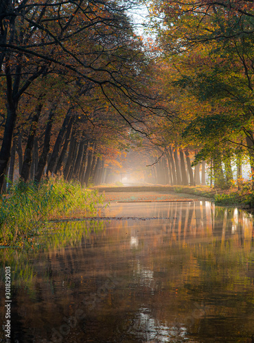 autumn in park