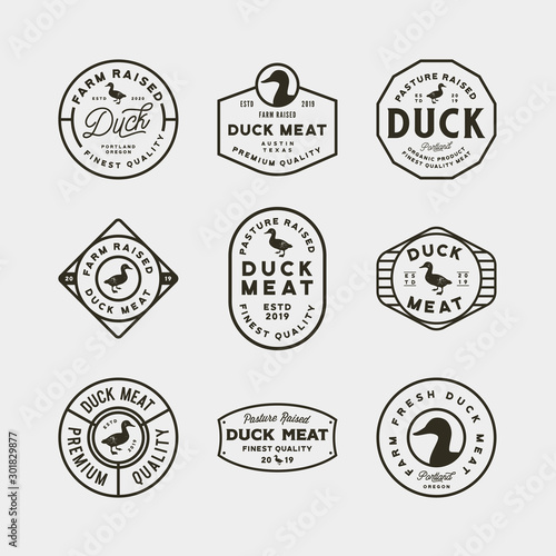 set of premium fresh duck meat labels. vector illustration