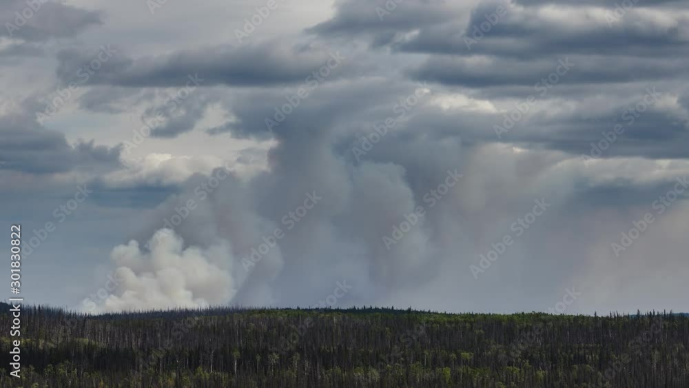 Smoke rising from a wildfire in northern BC 4K timelapse Smoke rising from a wildfire in northern BC 4K timelapse