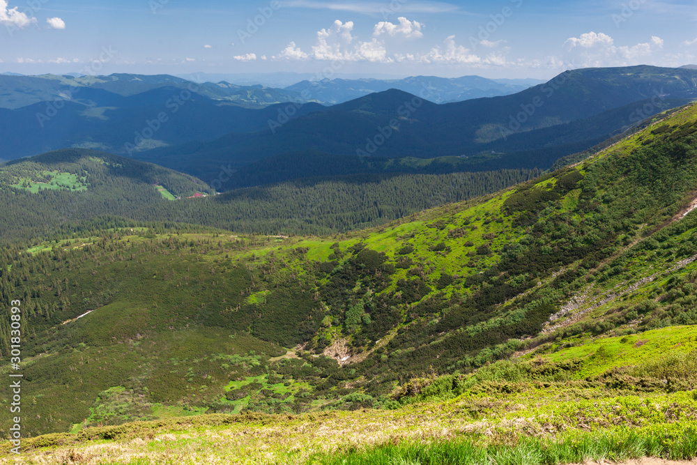Obraz premium Beautiful atmospheric contrasty summer view of Chornohora mountains from Mount Hoverla. It is the highest mountain of the Ukrainian Carpathian Mountains