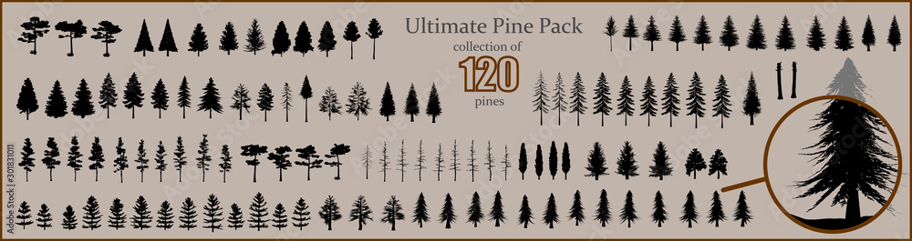 Ultimate Pine collection, 120 detailed, different tree vectors