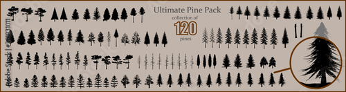 Canvas-taulu Ultimate Pine collection, 120 detailed, different tree vectors