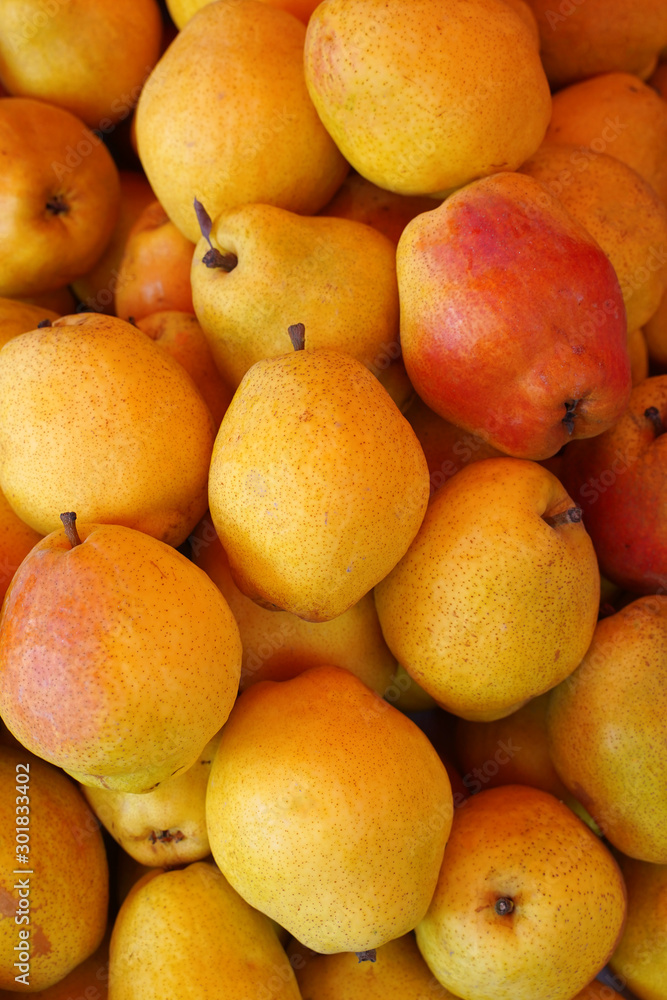 Fresh ripe organic pears as a background.Autumn harvest,fruits, vegan food or gardening concept with copy space.Top view. Fresh ripe organic pears as a background.Autumn harvest,fruits, vegan food or gardening concept with copy space.Top view.