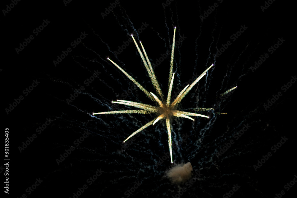 Obraz premium Firework Display Lighting up the Dark Sky