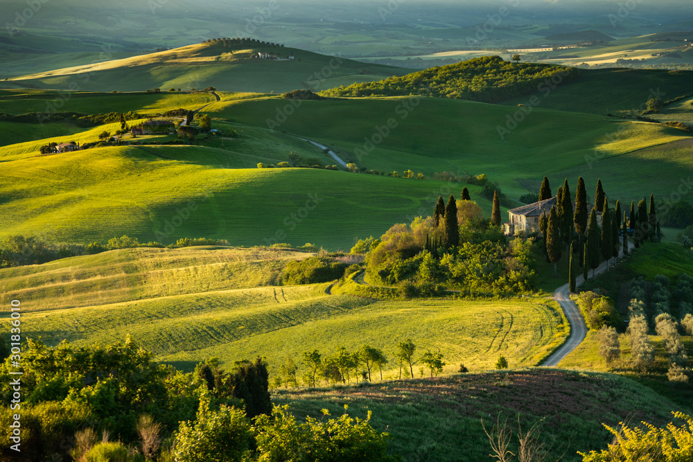 Obraz premium Farma w Toskanii, Włochy, zielone wzgórza podczas zachodu słońca