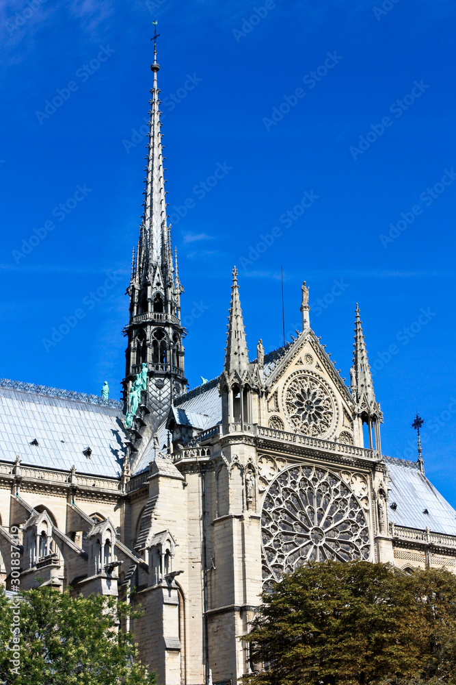 notre dame de paris, view from southern side, Paris, France