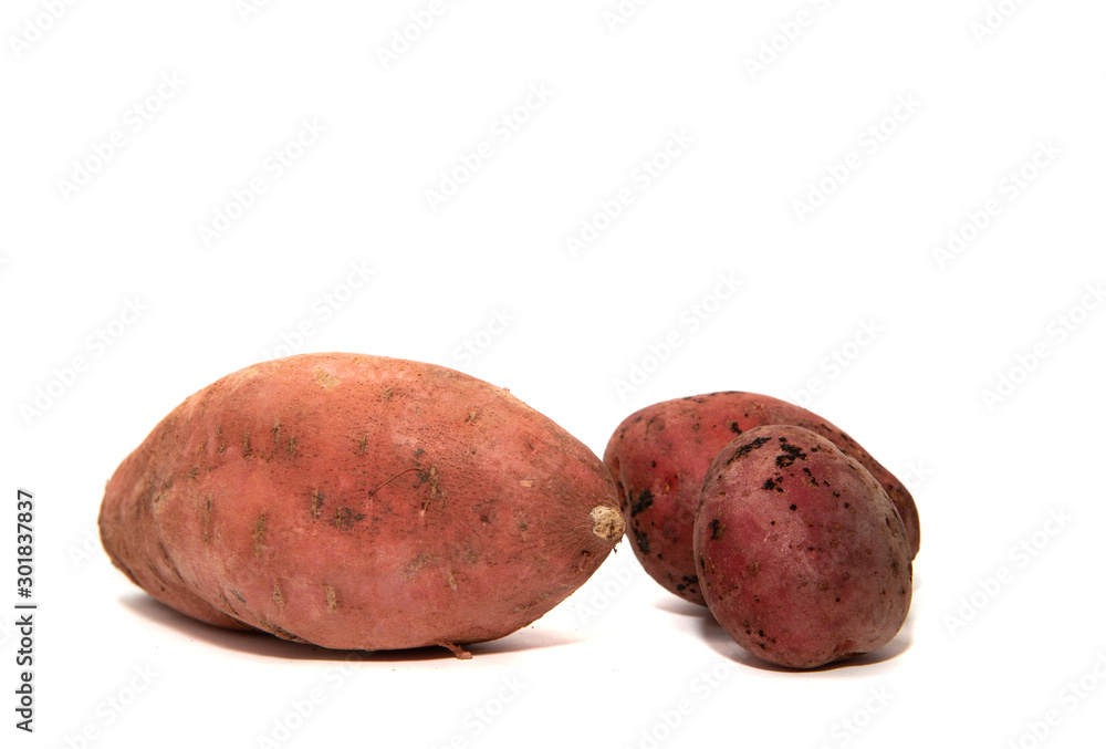 Sweet potatoes and red potatoes isolated on a white background. The concept of eating sweet potatoes instead of potatoes. An interesting alternative to potatoes. Sweet potatoes and red potatoes isolated on a white background. The concept of eating sweet potatoes instead of potatoes. An interesting alternative to potatoes.