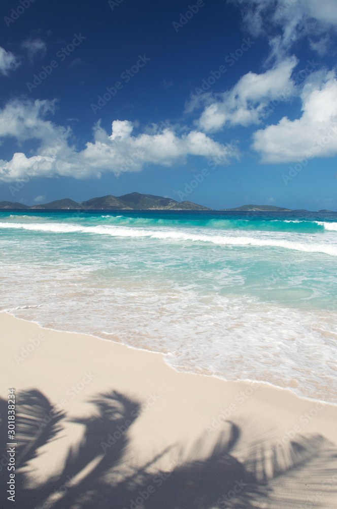 Bright tropical view of turquoise waves crashing on golden sand beach with palm tree shadows above green Caribbean island on the horizon Bright tropical view of turquoise waves crashing on golden sand beach with palm tree shadows above green Caribbean island on the horizon