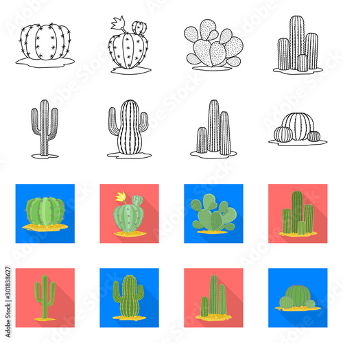 Isolated object of botanical and oasis symbol. Collection of botanical and vegetative stock symbol for web.