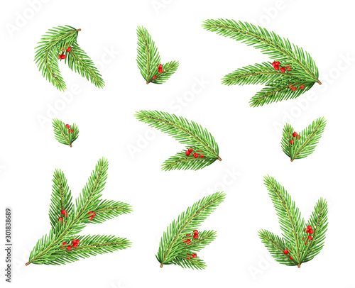 Christmas Fir Branches With Red Berries Elements Set