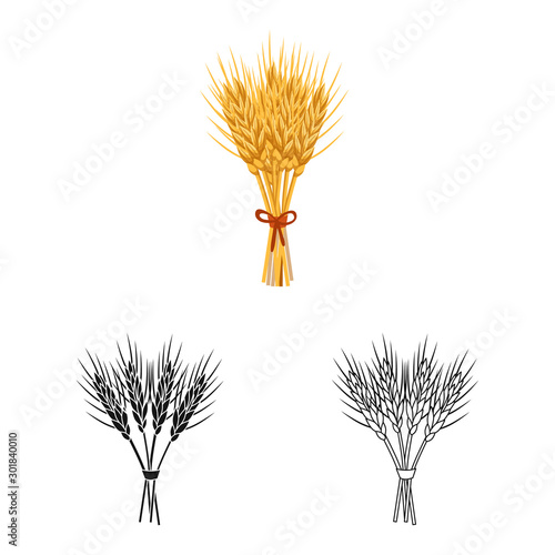 Vector design of barley and sheaf icon. Collection of barley and malt stock vector illustration.