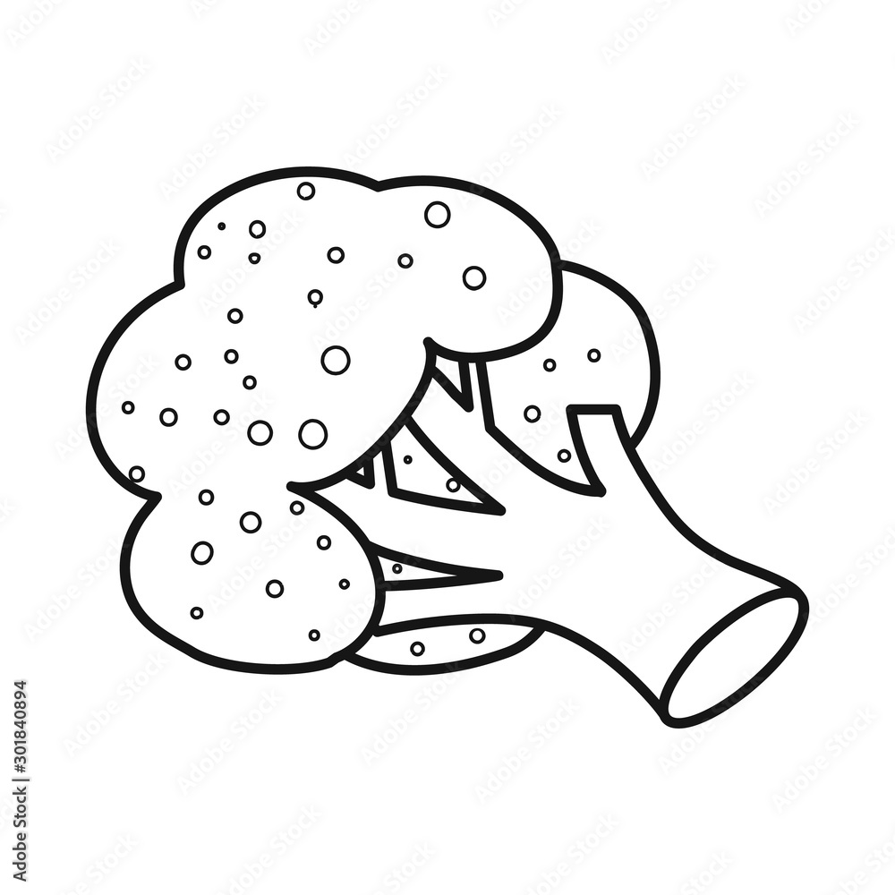 Vector illustration of broccoli and nutrition logo. Collection of broccoli and plant vector icon for stock. Vector illustration of broccoli and nutrition logo. Collection of broccoli and plant vector icon for stock.