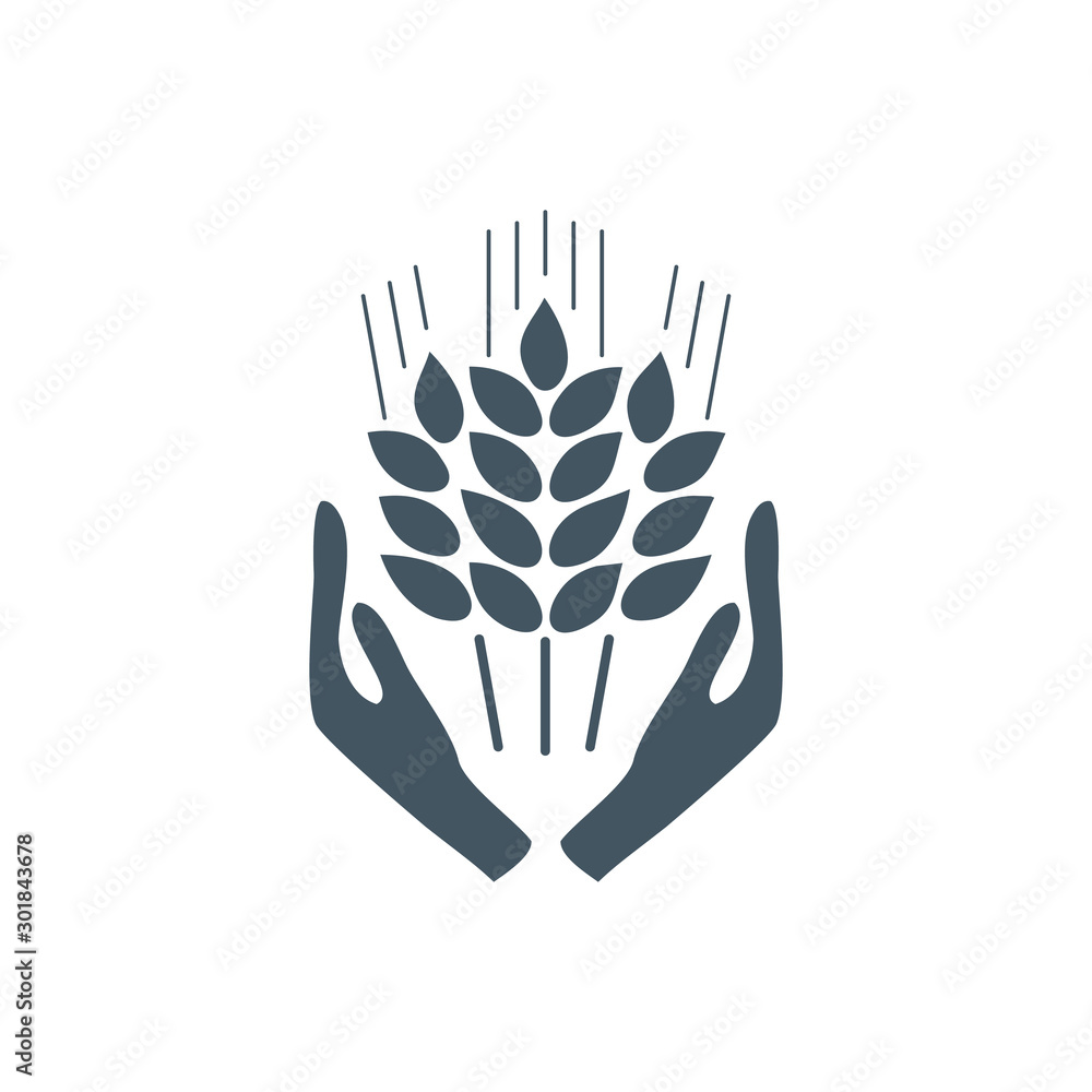 Open palms with wheat. Take care Ears of Wheat, Barley or Rye vector visual graphic icons, ideal for bread packaging, beer labels etc. Stock Vector illustration isolated on white background. Open palms with wheat. Take care Ears of Wheat, Barley or Rye vector visual graphic icons, ideal for bread packaging, beer labels etc. Stock Vector illustration isolated on white background.