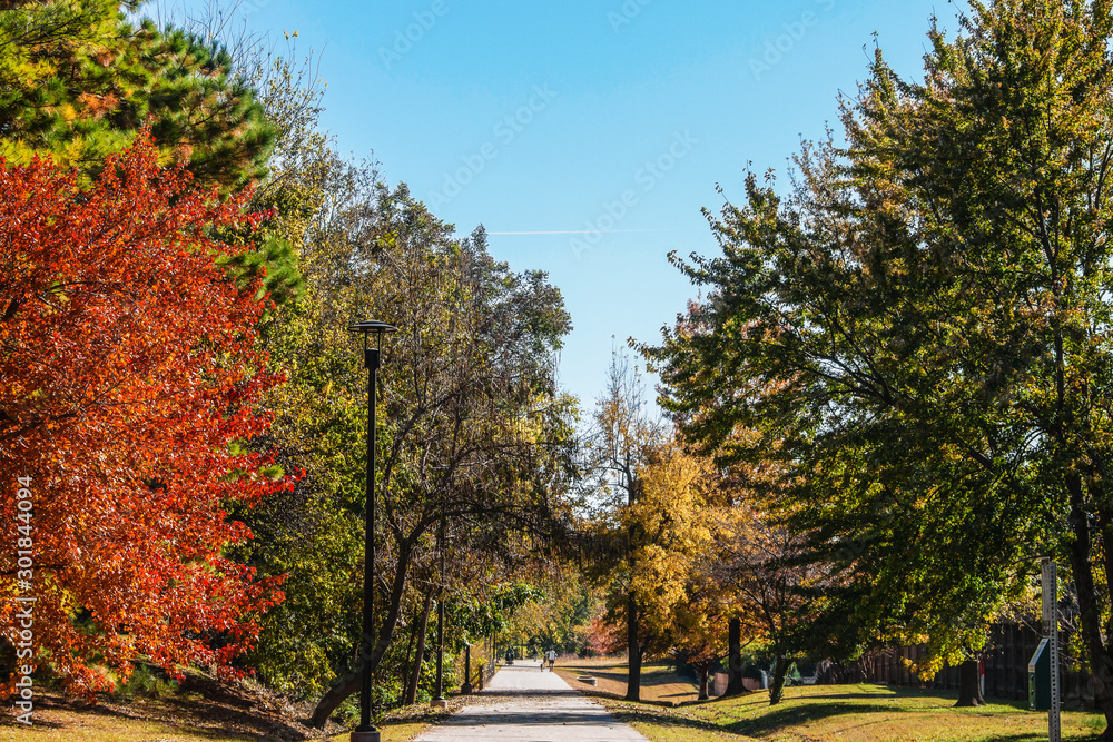 Paved walking-running path through the trees on a beautiful sunny autumn day. Paved walking-running path through the trees on a beautiful sunny autumn day.