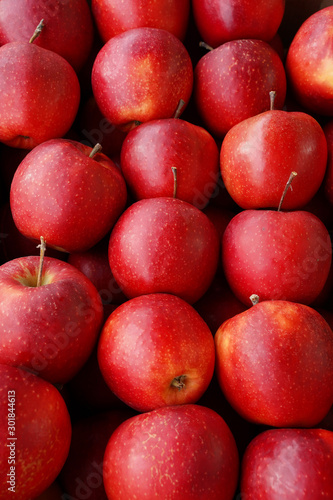 Foto red apples for food texture