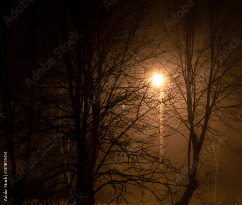 Mystical pillar light in the fog at night © Giedrius