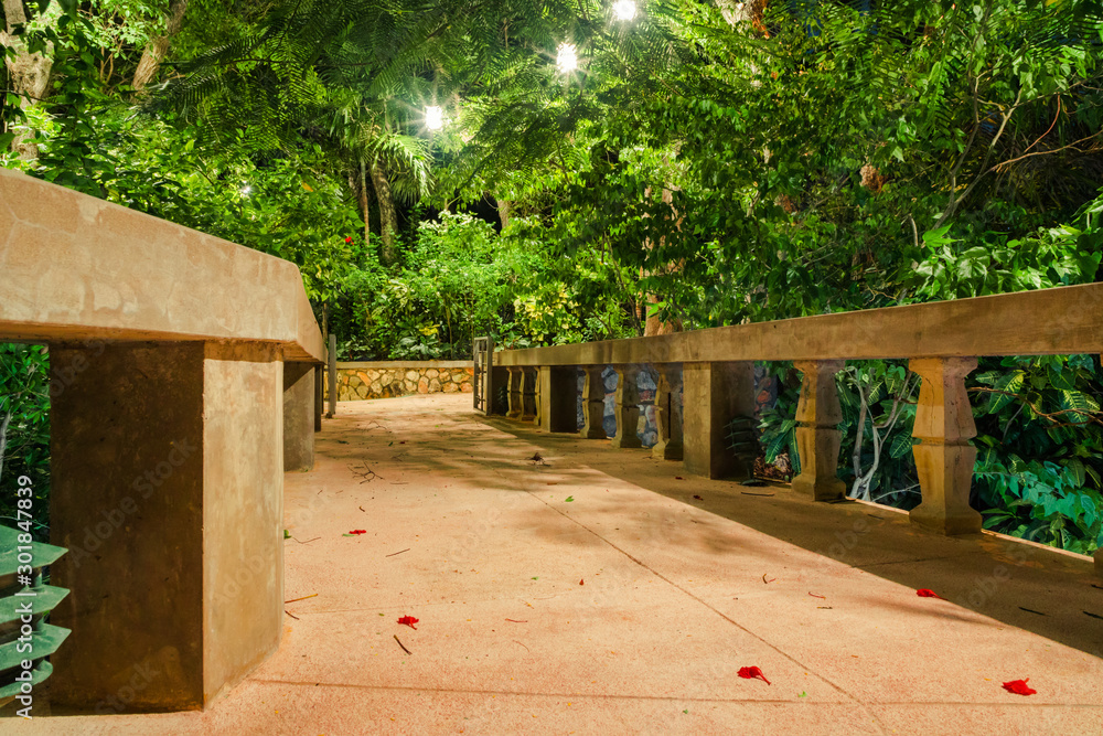 Picturesque tropical garden patio walkway at night in the forest.