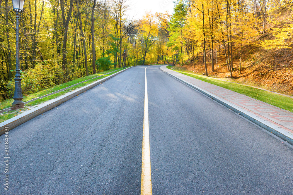 Fototapeta premium Road and autumn landscape with forest in park