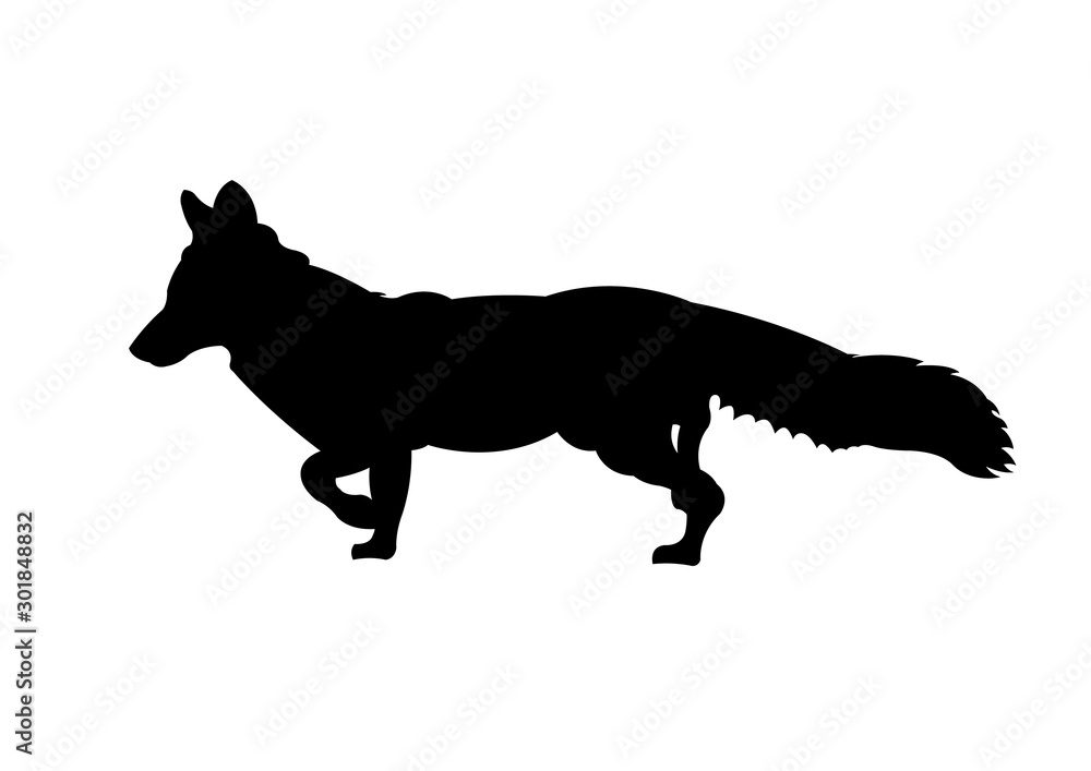 Fototapeta premium Fox silhouette vector illustration isolated