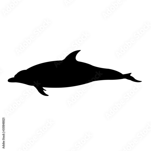 Dolphin silhouette vector illustration isolated