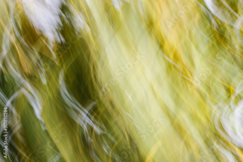 Natural abstract background with blurry forest photographed with moving camera, blurred forrest, space for text