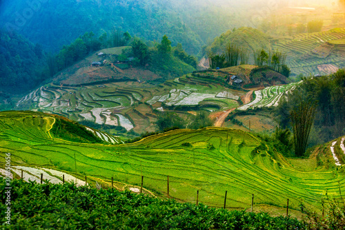 Vibrant landscapes of rice paddy terraces in fog. Sapa  Vietnam