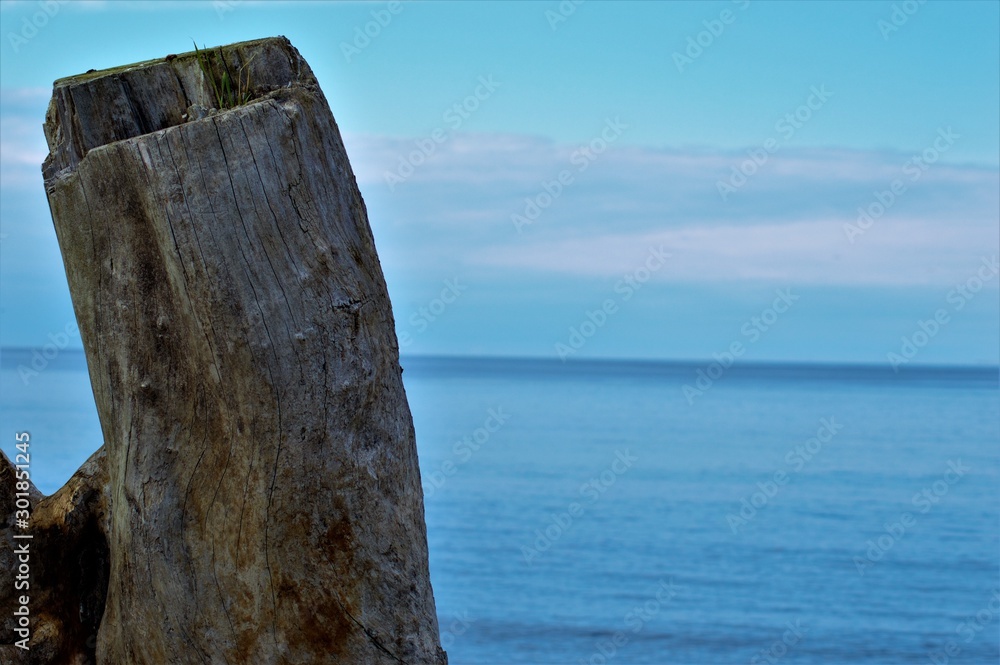 breakwater in the sea
