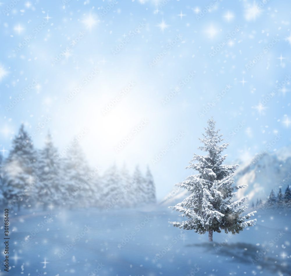Winter Christmas landscape. Blue pine tree branches under winter snowfall, winter forest, space for text.