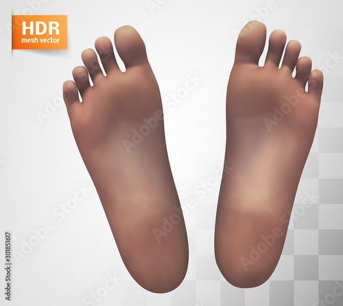3d illustration,vector foot volume, health and shoe selection