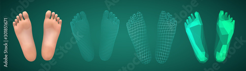 3d illustration,vector foot volume, health and shoe selection