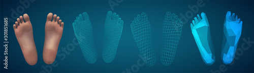 3d illustration,vector foot volume, health and shoe selection