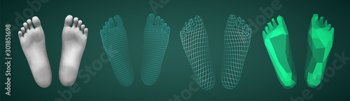 3d illustration,vector foot volume, health and shoe selection