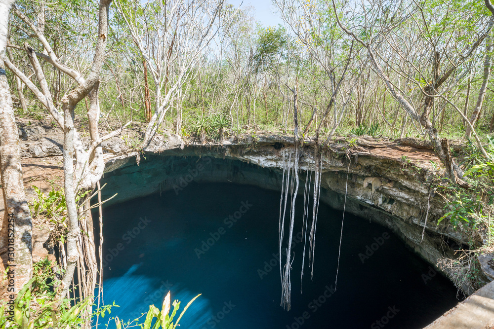 Amazing Noh mozon cenote with turquoise water and roots, Pixya, Yucatan, Mexico Amazing Noh mozon cenote with turquoise water and roots, Pixya, Yucatan, Mexico