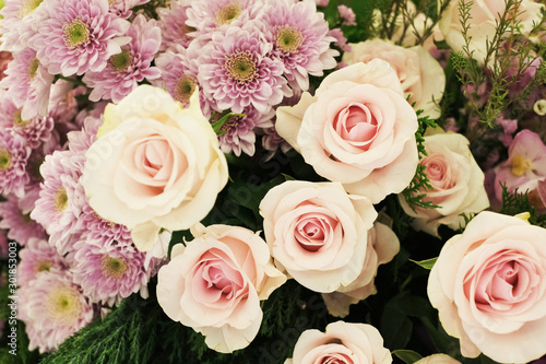 A collection of beautiful pink roses