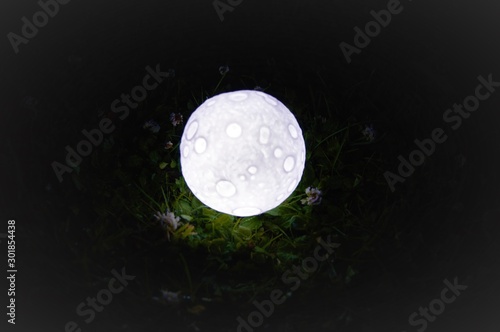 full moon in the grass