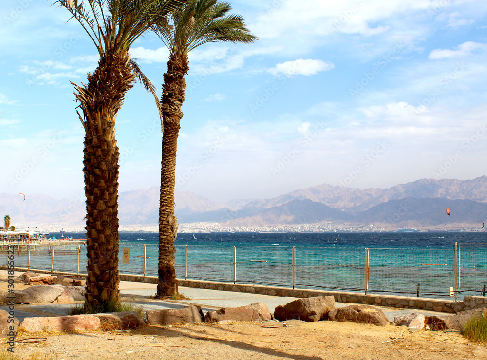 Palm view