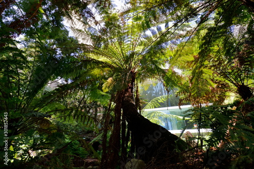 melbourne museum