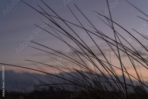 sunset in the dunes - Schillig