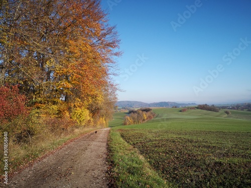 beautiful autumn landscape