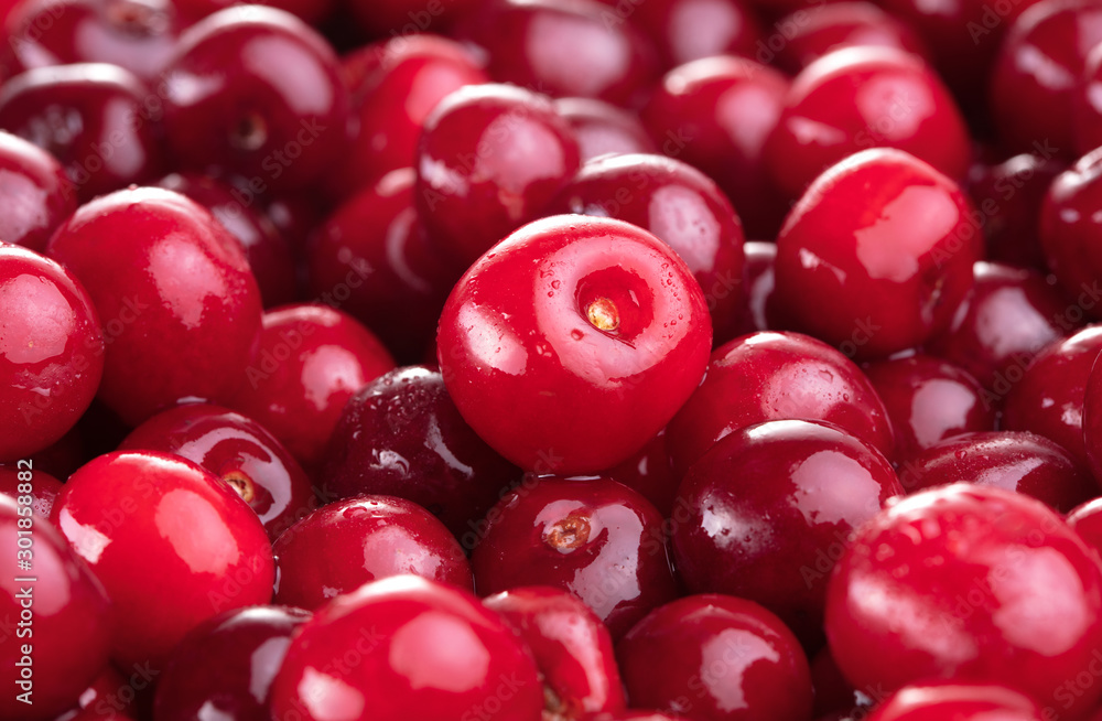 heap of fresh cherry fruits as textured background heap of fresh cherry fruits as textured background